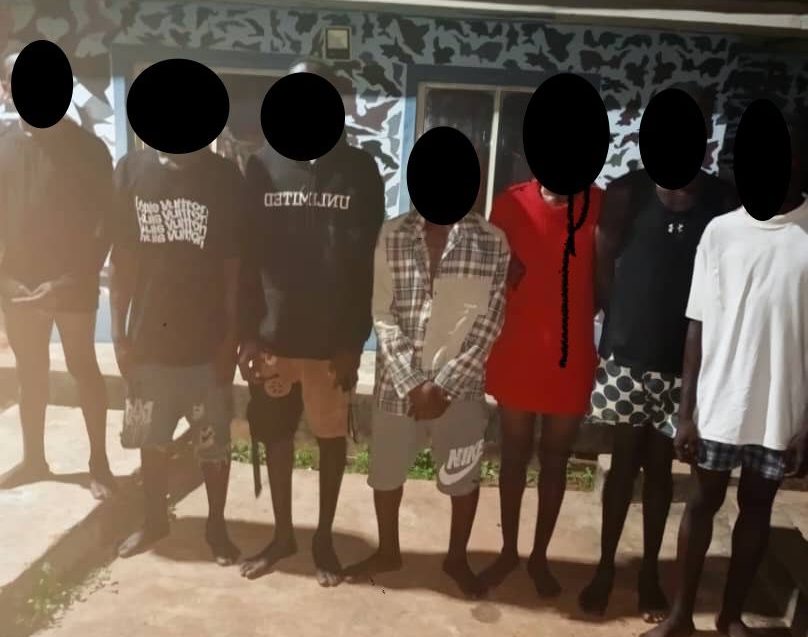 Police Nab Seven For Armed Robbery Cultism In Anambra The Telegraph